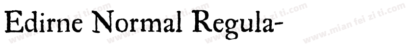 Edirne Normal Regula字体转换